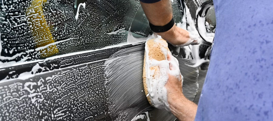 Image: Grapevine Spring Maintenance Tips for Your Lincoln in 2026